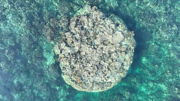 Mercan Bombacısının Hava Kapanışı