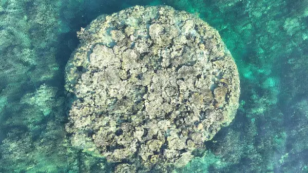 Mercan Bombacısının Hava Kapanışı