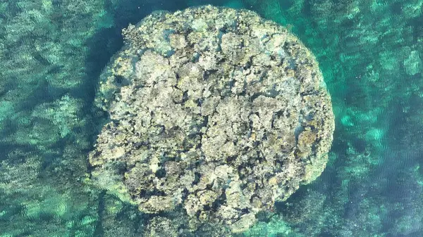 Mercan Bombacısının Hava Kapanışı