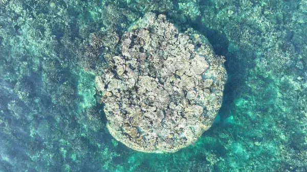 Mercan Bombacısının Hava Kapanışı