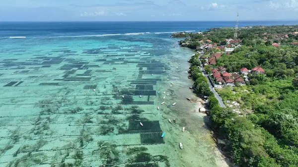 Endonezya Yosun Çiftliği Kıyıya Yakın