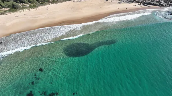 Dramatik Balık Okulu Kapanışı