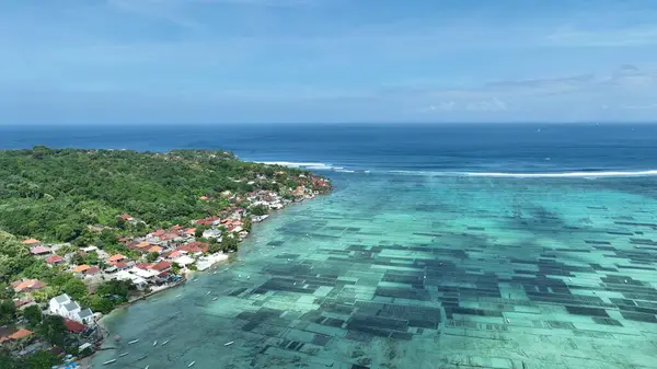 Endonezya Yosun Çiftliği Kıyıya Yakın