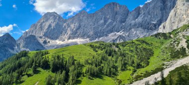 Beautiful view from the top of the austrian alps. Amazing Dachsteingletscher nature - green fields with forests and grey mountains under the blue sky - sunny summer day. 