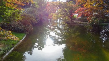 Parktaki renkli sonbahar ağaçları. Parlak güneşli bir sonbahar gününde Como Gölü yakınlarında muhteşem renkli ağaçlar..