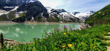 Dağların güzel manzarası. Karlı dağlar ve Kaprun 'daki çiçek tarlaları arasındaki yeşil baraj gölü..