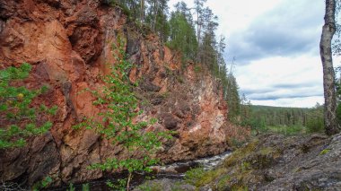 Nehrin kanyonu. Kuusamo Ormanı 'nın güzel kızıl uçurumları..