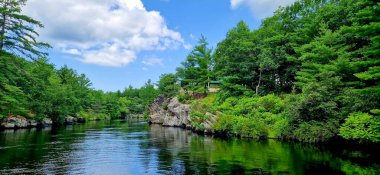 Ontario 'daki Sparrow Gölü' nün güzel güneşli yaz kıyıları.