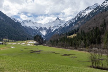 Bahar Bavyera Alplerinde - dağlar, kar, yeşil alan, orman, bulutlu gökyüzü.