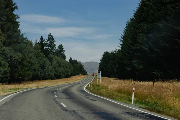 Ağaçlarla ve tarlalarla çevrili düz bir yol.
