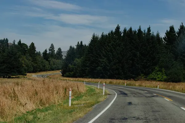 Yeni Zelanda 'nın yemyeşil ormanlarından geçen yol.
