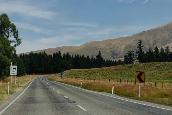 Ormanda virajlı bir yol