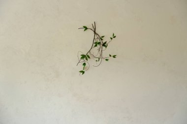 Ahşap Masa ve Kolye Işığıyla Konforlu Köşe