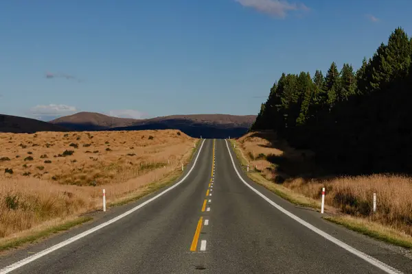 Altın Tarlalarda Sonsuz Asfalt Yolu