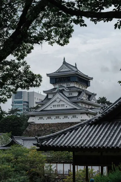 Yeşil ağaçlarla çevrili bir Japon bahçesinde sakin bir patika.