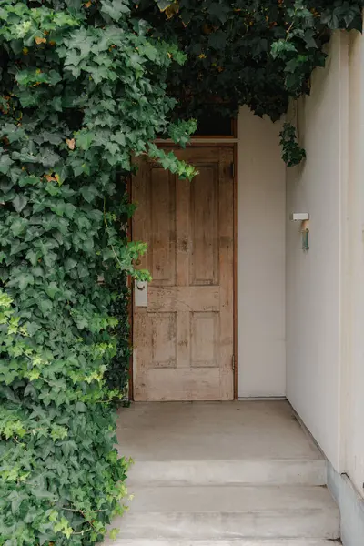 Verandadaki yemyeşil sarmaşık tarafından çerçevelenmiş ahşap bir kapı.