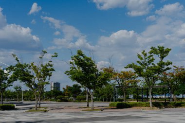 Ağaçları ve mavi gökyüzü olan şehir parkı