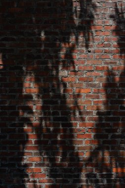 Shadows cast on an old red brick wall by tree branches in sunlight clipart