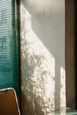 Yeşil Jaluzili ve Sandalyeli Duvarda Güneş Işığı Gölgesi