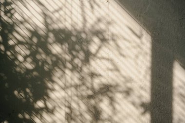 Beyaz bir duvarda gölge desenleri