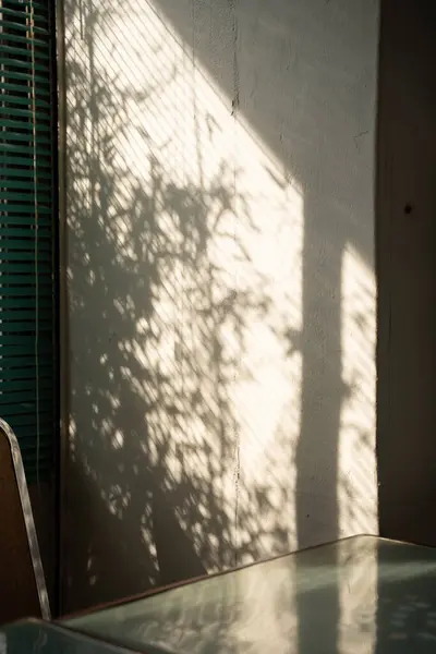 stock image Sunlit Shadow on Wall with Green Blinds and Table