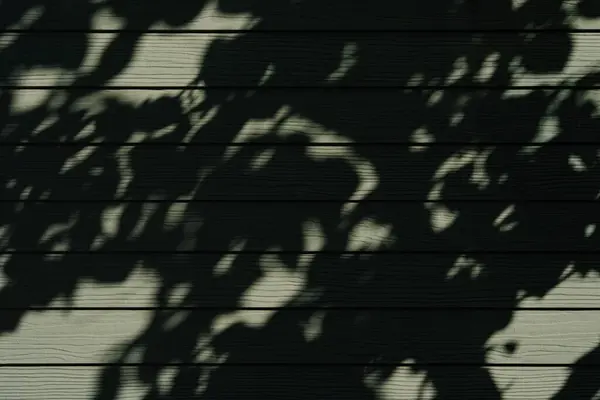 stock image Dark Wooden Wall with Leaf Shadows