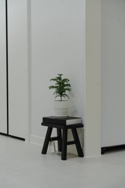 Plant on small stool in minimalist room clipart