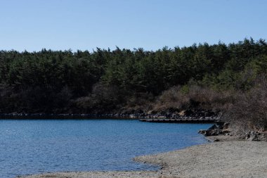 Çam ormanına kurulmuş dingin göl.