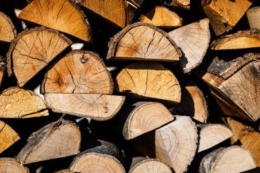 Kamp ateşi ve şömineler için odun biriktirdik. Yakacak odun desenleri var.