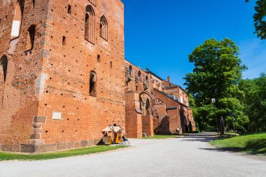 Tartu Katedrali yıkıntısı, 16. yüzyılda Tartu Estonya 'da tamamlandı. Bugün turistler için tarihi bir dönüm noktasıdır..