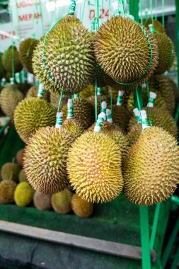 Asya 'daki meyve pazarında Durian meyvesi. Durian, Durio cinsine ait çeşitli ağaç türlerinin yenilebilir meyvesidir..