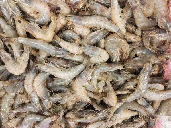 stock image Fresh Shrimps, or prawns, on display in wet market. Seafood abstract background and texture.