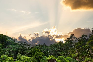 Borneo, Malezya 'da yağmur ormanı günbatımı veya gündoğumu gökyüzü manzarası.