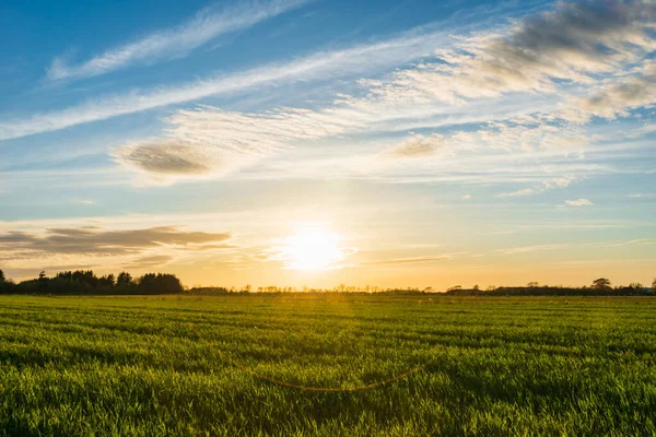 日落时分覆盖了农场 丹麦的乡村农场景观 — 图库照片