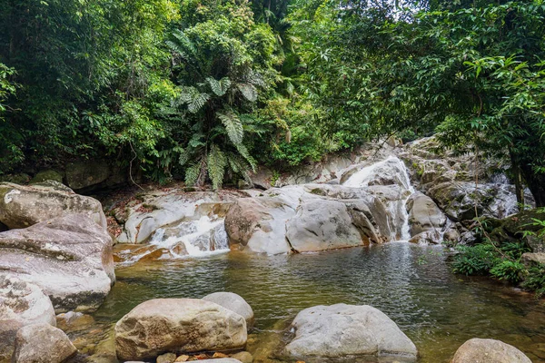 Paisaje Selva Tropical Con Cascada Parque Nacional Gunung Gading Borneo — Foto de Stock