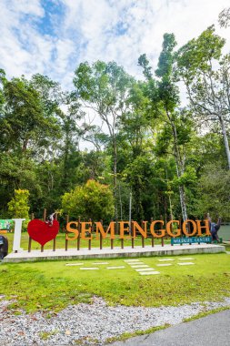 Kuching, Malezya - 06.12.2023: Semenggoh Doğa Rezervi, yabani orangutanları ve Sarawak 'ın diğer vahşi yaşamını görmek için turistler için bir Orang Utan Rehabilitasyon Merkezi. 