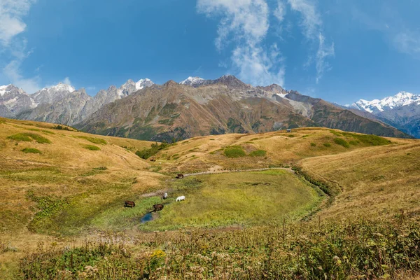 Montanha Caminhadas Paisagem Mestia Região Svaneti Geórgia Drone Como Imagem — Fotografia de Stock