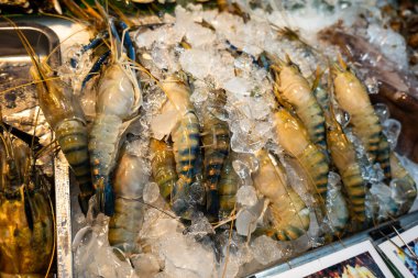 Taze çiğ karides, kaliteli, Bangkok Tayland 'daki deniz ürünleri pazarında sergileniyor. Dev karides deniz ürünleri.