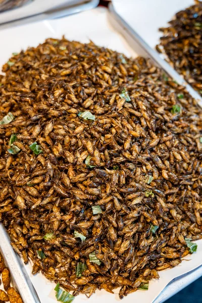 Fried insects, edible insect and bugs at market in Thailand, close-up with selective focus