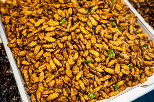 Fried worms, edible insect and bugs at market in Thailand, close-up with selective focus