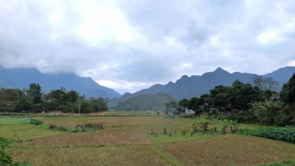 Dorflandschaft Mai Chau Mit Reisfeldern Nordvietnam Mai Cau Ist Eine — Stockvideo