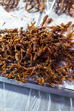 Kızarmış cırcır böcekleri, yenilebilir böcekler ve Tayland pazarında seçici odaklı yakın çekim. Gıda güvenliği kavramı