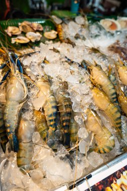 Taze çiğ karides, kaliteli, Bangkok Tayland 'daki deniz ürünleri pazarında sergileniyor. Dev karides deniz ürünleri.