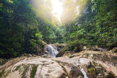 rainforest jungle trek landscape at Gunung Gading National Park in Borneo, Malaysia clipart