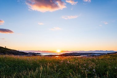 Nordland County, Norveç 'teki Kuzey Kutup Dairesi' nde gece yarısı güneşi ve çayır.