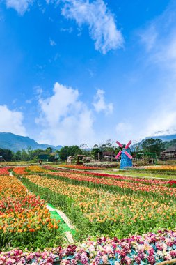 Kuzey Vietnam 'da çeltik tarlaları olan Mai Chau köyü manzarası. Mai Cau bir kırsal bölge ve turistler arasında popülerdir. 