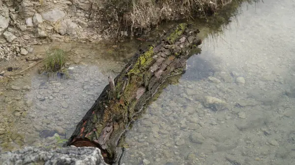 Göl kıyısında yarı batık bir kütük, Rocky Embankment ile birlikte. Arka planda kayalık bir set ile gölün kıyısında dinlenen yarı batık bir kütüğün yer aldığı resimli bir sahne. Kütük yıpranmış bir yüzey ve kayalık kıyıların sert dokusu.