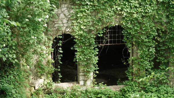 Ivy ve Old Grates 'in bulunduğu iki mağara girişi, muhtemelen sarmaşık olmak üzere yemyeşil tırmanma bitkileriyle kaplanmış olarak gösteriliyor. Eski ızgaralar kısmen girişleri kapatıyor, tarih algısı uyandırıyor.