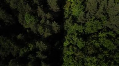 Beyaz-Çiçek Ağaçlı Ormanın Hava Görüntüsü Bir dronun havadan görünüşü Beyaz Çiçekler sergilenen birkaç ağacın açtığı sık bir ormanı yakalar. Canlı yeşil tepe örtüsü ile beyaz çiçeklerin arasındaki zıtlık mevsimlik b 'nin bir dokunuşunu ekler.