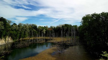 Nimbus ve Cirrus Clouds Over Lake, Dead Trees ve Limestone Cliffs ile birlikte güzel Mavi Gökyüzü karenin yarısını kaplayan bulutlarla dolu çarpıcı mavi bir gökyüzü yakalar. Diğer yarısı ise daha önce tarif edildiği gibi...